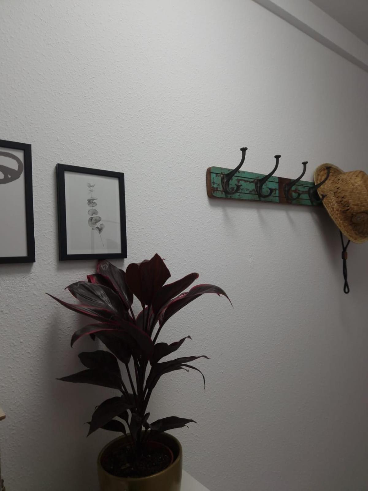 דירות Casa Tina, קוסטה דל סילנסיו מראה חיצוני תמונה